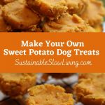 pinnable image for sweet potato treats.