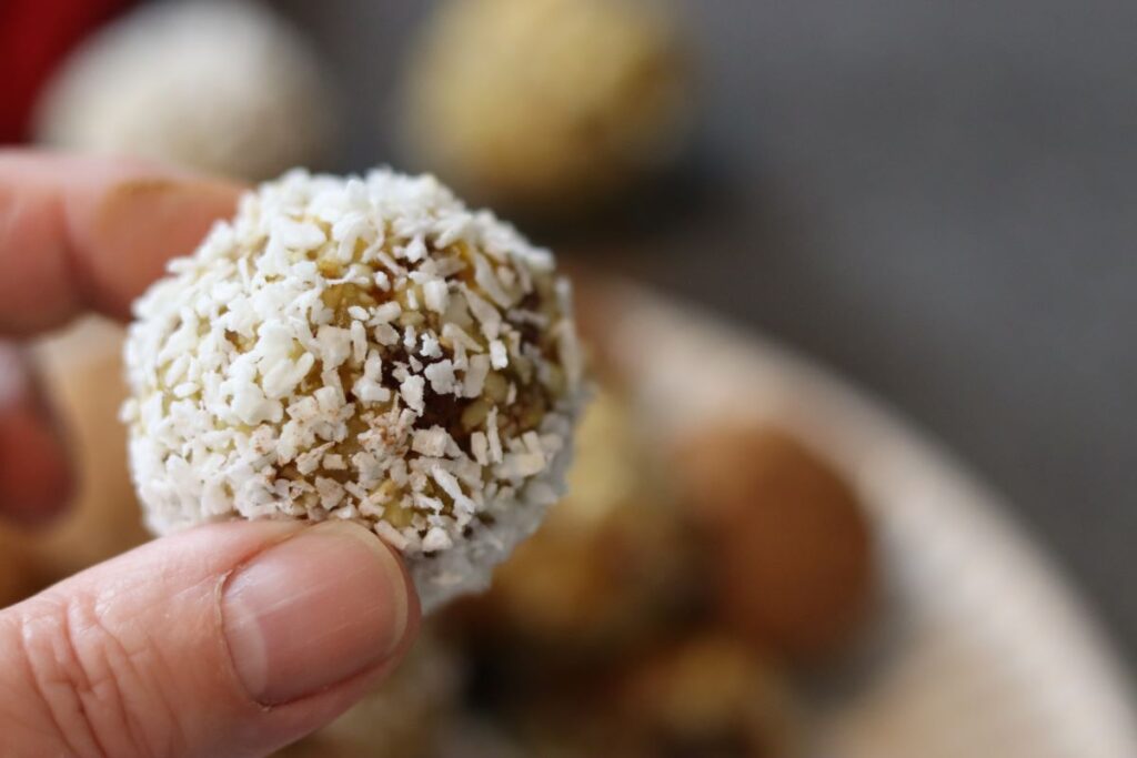 hand holding a wfpb protein ball