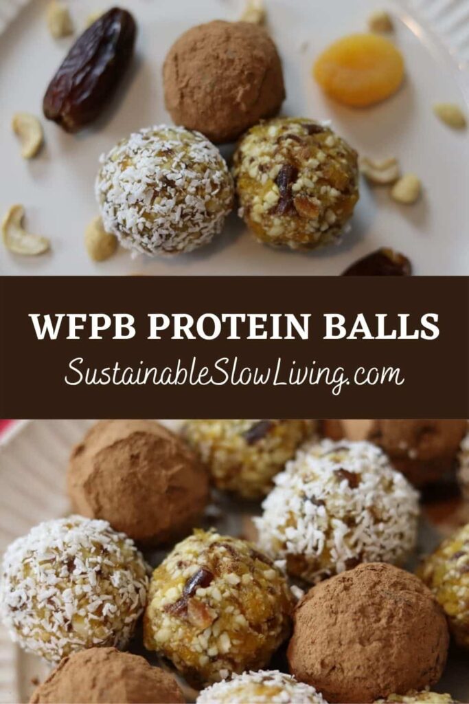 pinnable image for wfpb protein balls