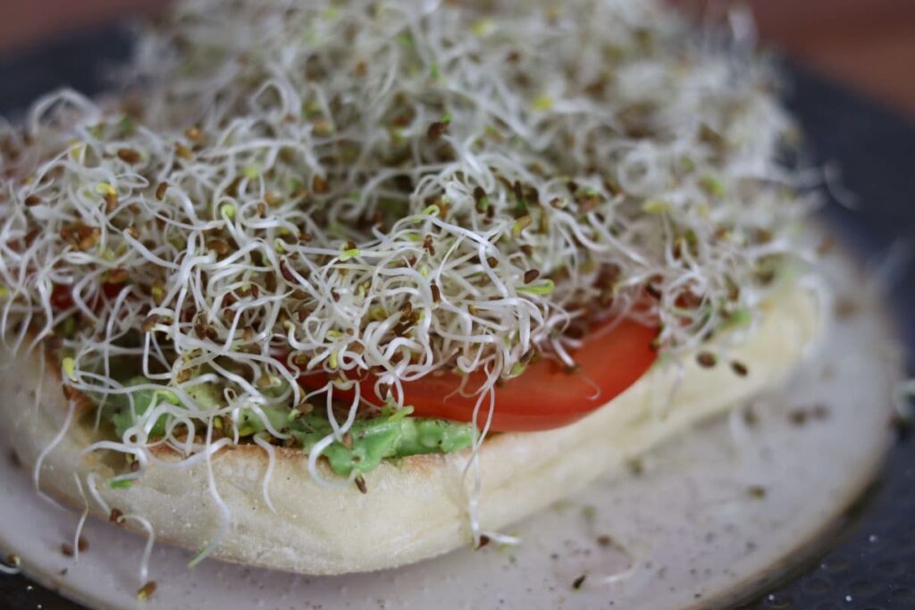 sprouts on top of a sandwich on a plate