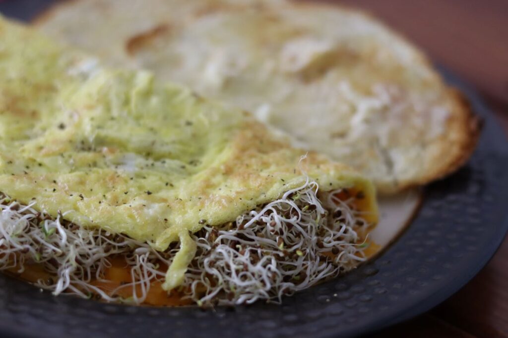 sprout and cheese omelet on a plate