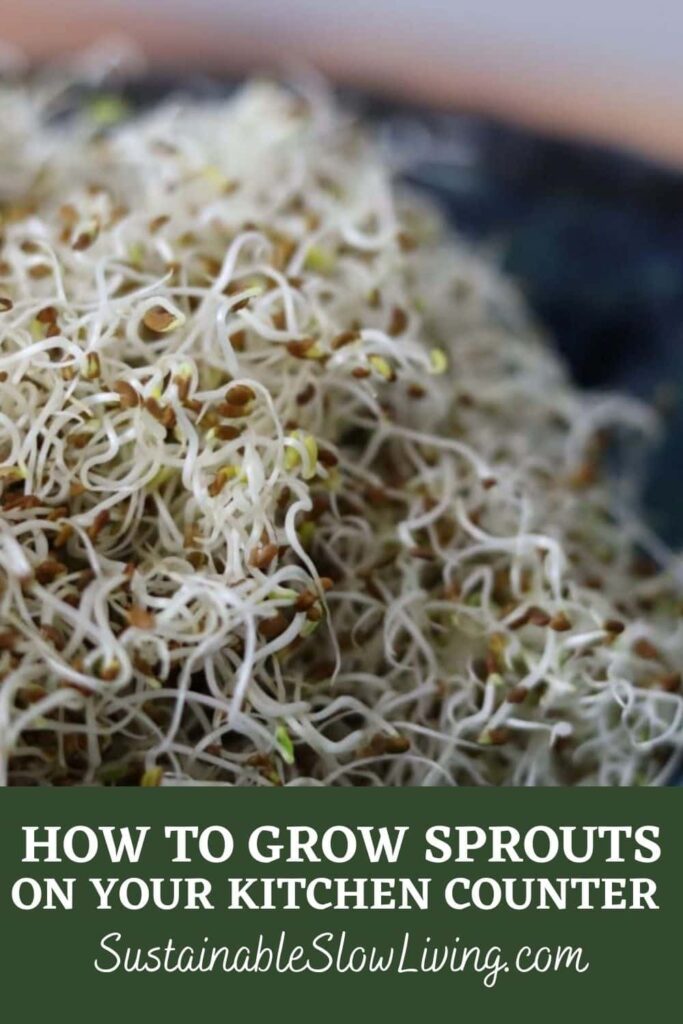 pinnable image for grow sprouts