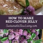 pinnable image for red clover jelly.