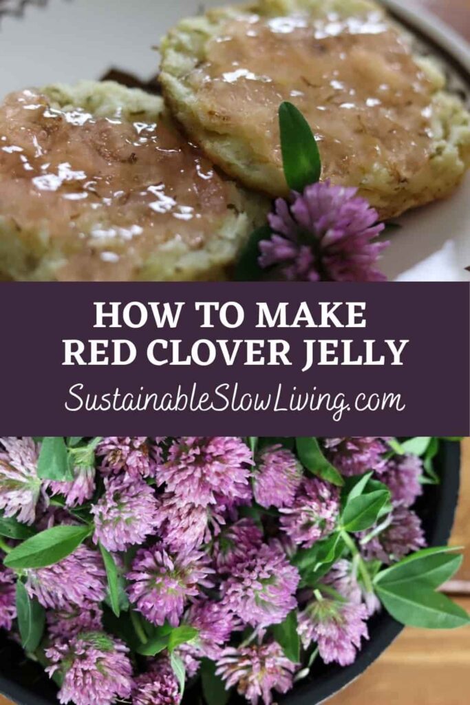 pinnable image for red clover jelly