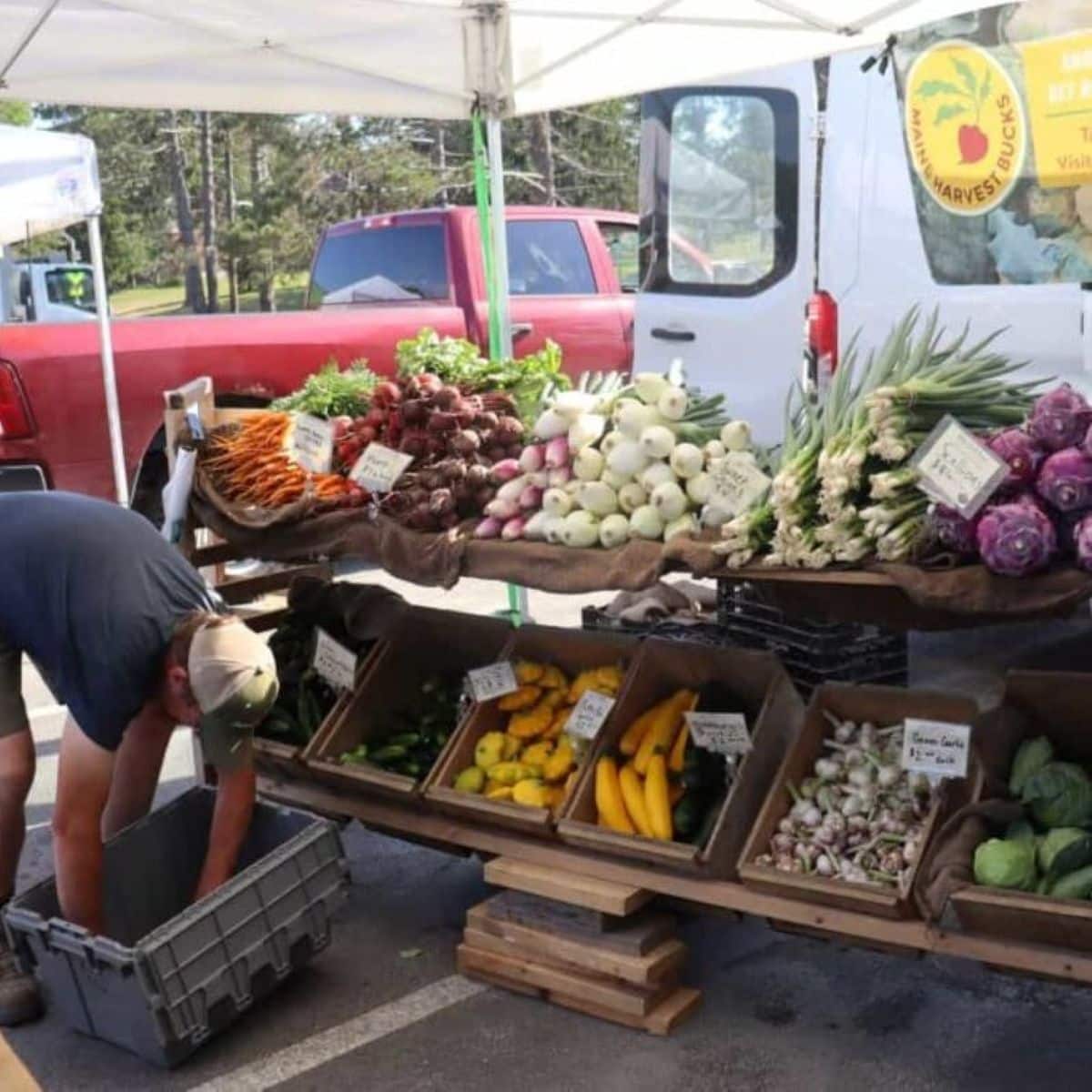 A farmer arranges crates beneath a market stall displaying fresh vegetables, including carrots, radishes, turnips, squash, and garlic, at an outdoor farmers market with vehicles in the background.