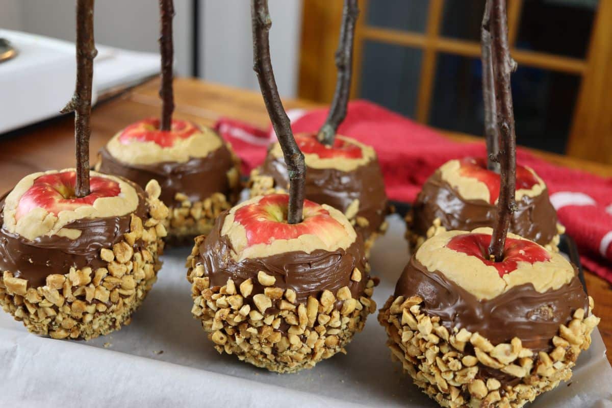 How To Make Peanut Butter Candy Apples Sustainable Slow Living