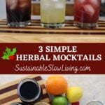 pinnable image for herbal mocktails.