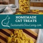 pinnable image for homemade cat treats.