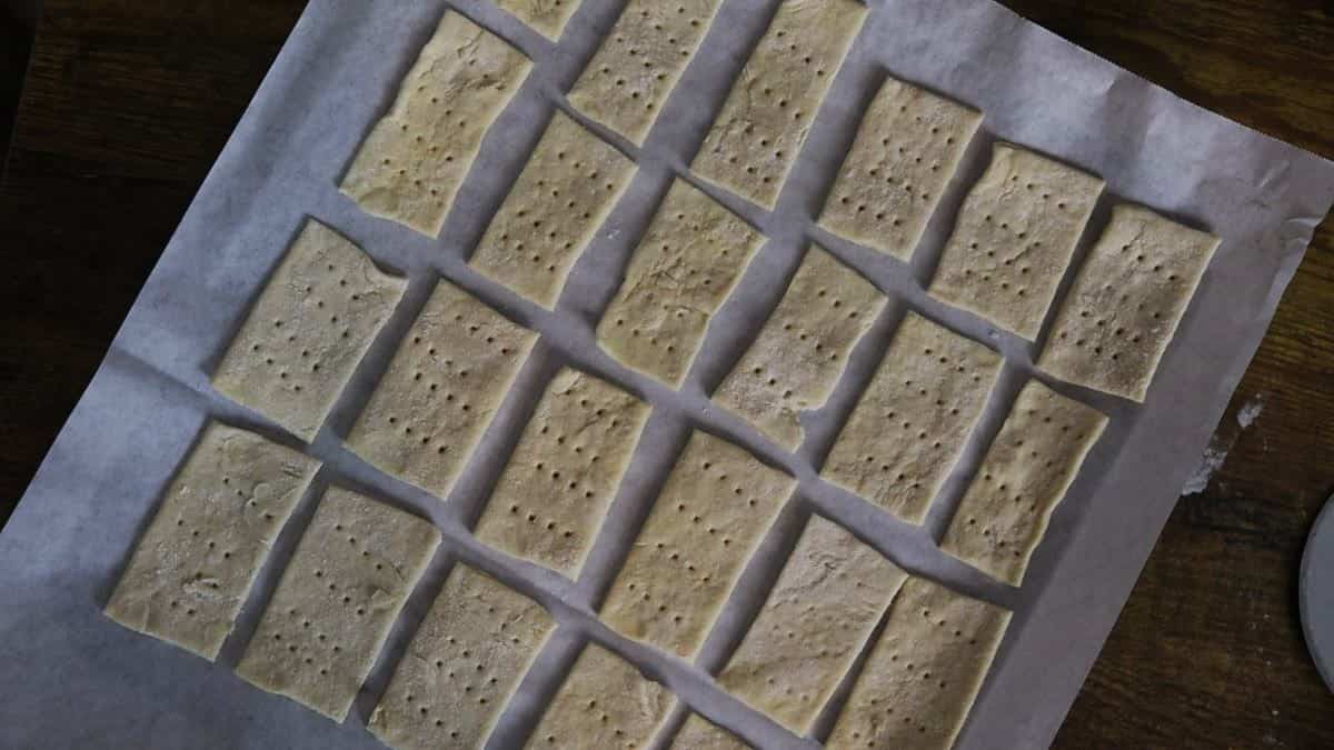 Rectangular shaped pieces of dough with holes pierced in them laid out on a parchment paper.