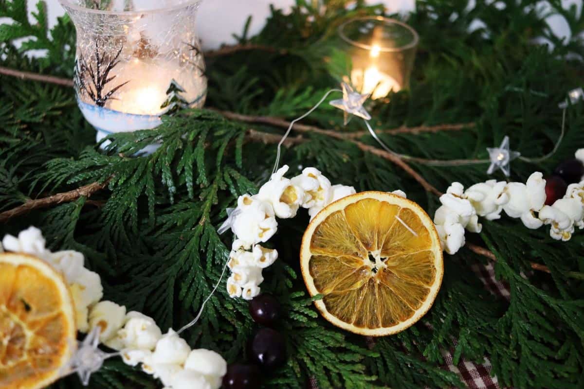 Dried oranges, popcorn, and cranberries strung together and hung over a pine bough.