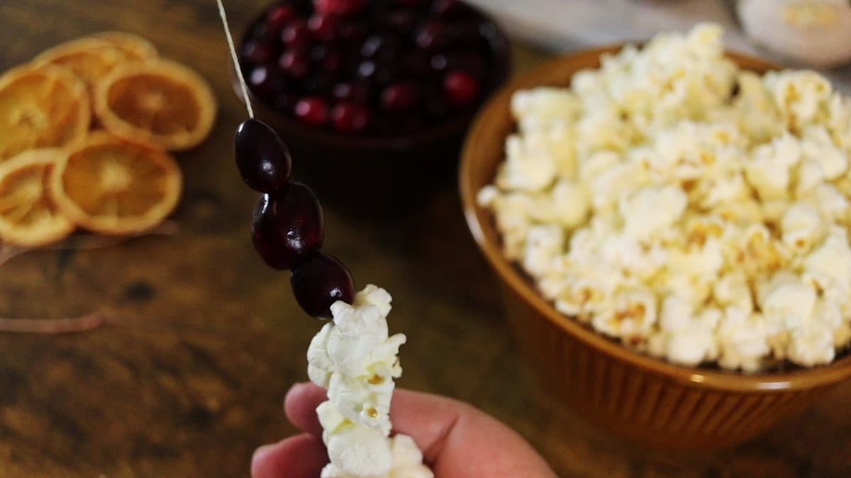 Popcorn and cranberries strung together on a piece of hemp cord with a bowl of popcorn and a bowl of fresh cranberries visible in the background.