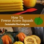 pinnable image for how to freeze acorn squash.