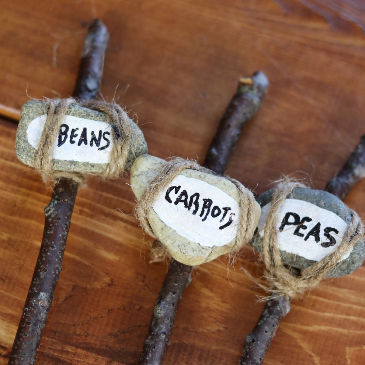 Painted stones attached to sticks with jute twine with a white oval painted on them with the name beans on one, carrots on one, and peas on one of them.