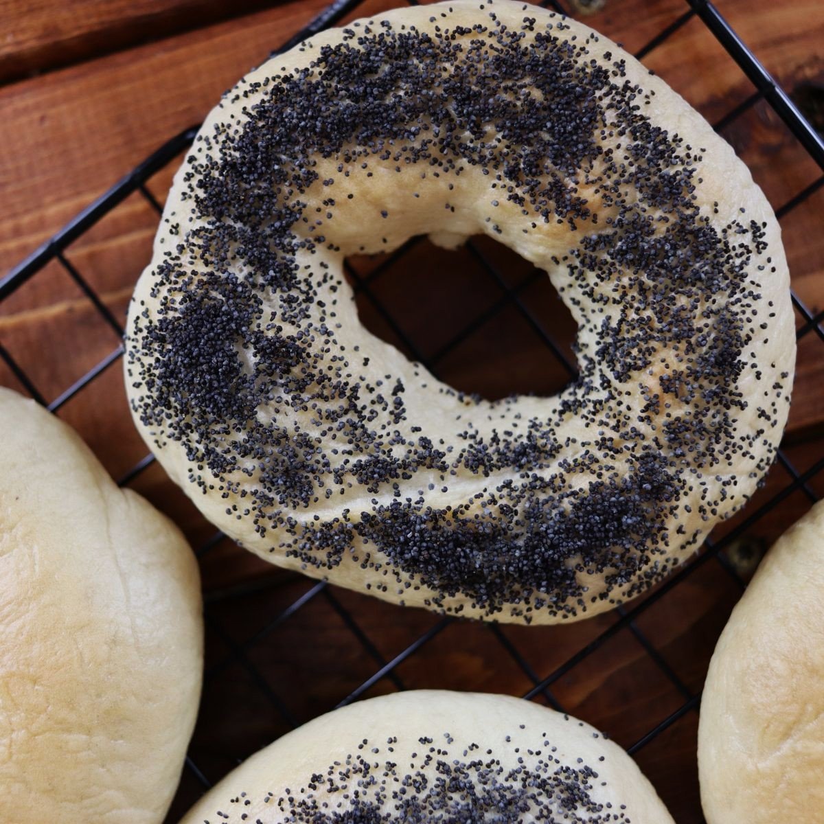poppy seed bagel on a cooling rack.