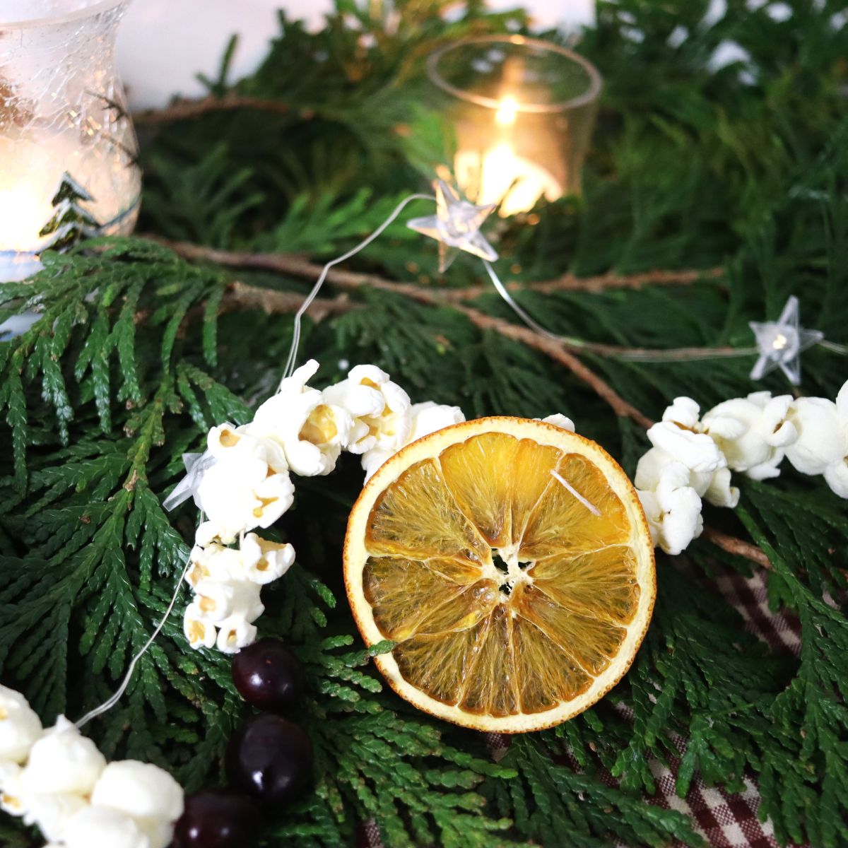 Popcorn, fresh cranberries, and a dried orange slice strung together and laid over a pine bough.