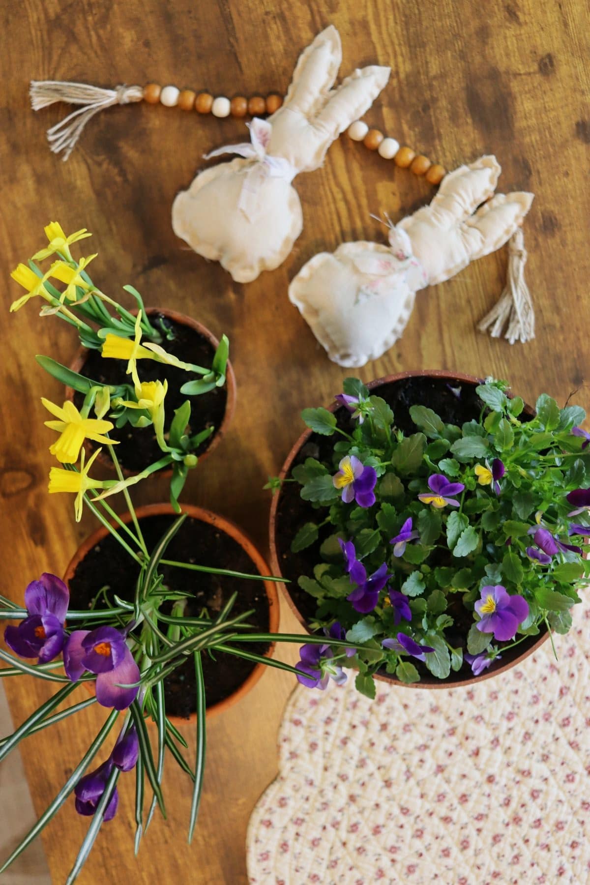 overview of spring flower plants and two stuffed bunnies.