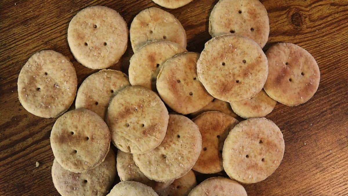 A pile of round, lightly browned crackers with small holes on top, scattered on a wooden surface.