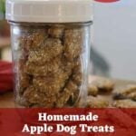 Mason jar full of square dog treats with treats scattered around it. Text overlay reads, 'homemade apple dog treats', 'dog approved', and 'sustainableslowliving.com'.