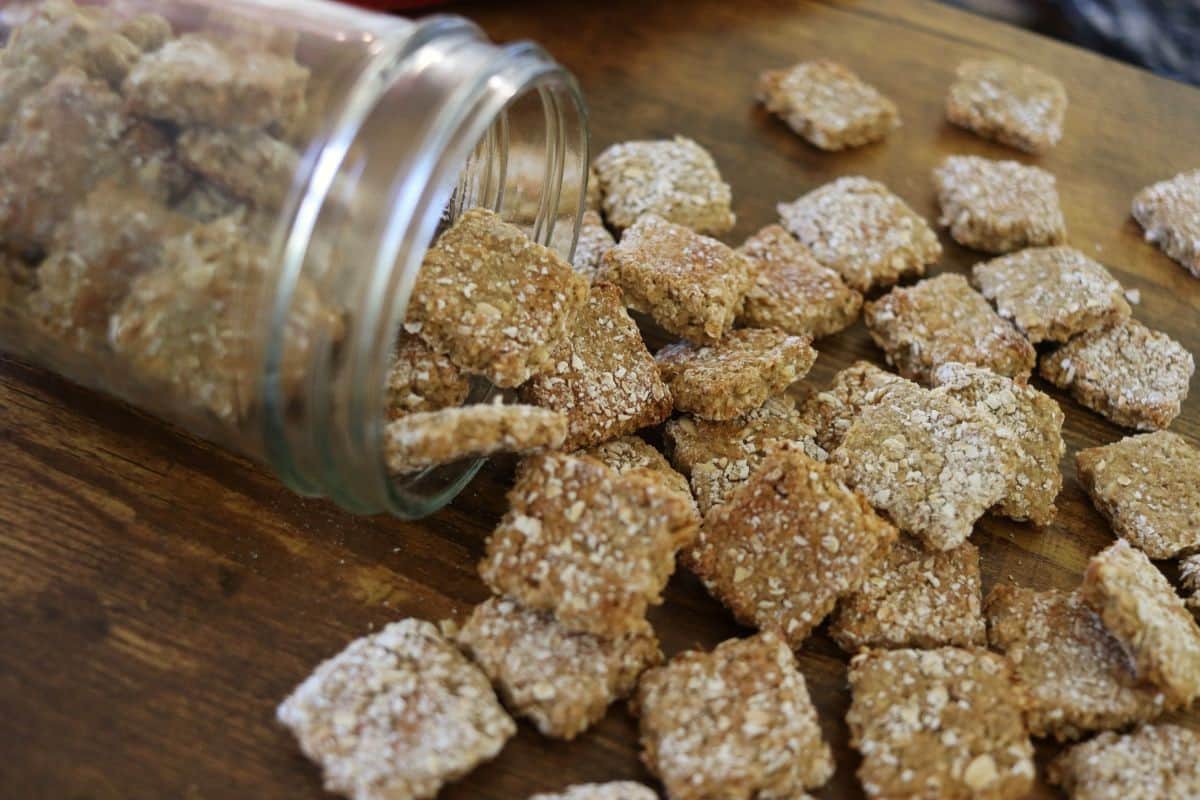 A glass jar tipped over on a wooden surface, spilling out square-shaped homemade dog treats coated with oats.