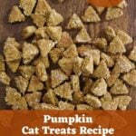 Small, triangular cat treats on a wooden surface with text overlay that says 'pumpkin cat treats recipe', 'cat approved', and 'sustainableslowliving.com'.