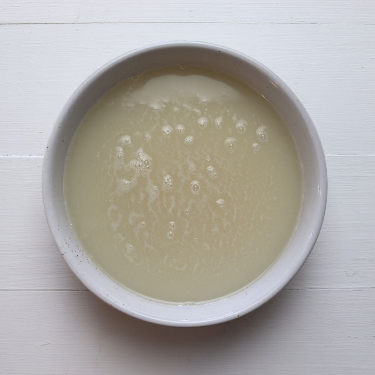 Bowl of foamy yeast mixture with bubbles forming on surface on white background.