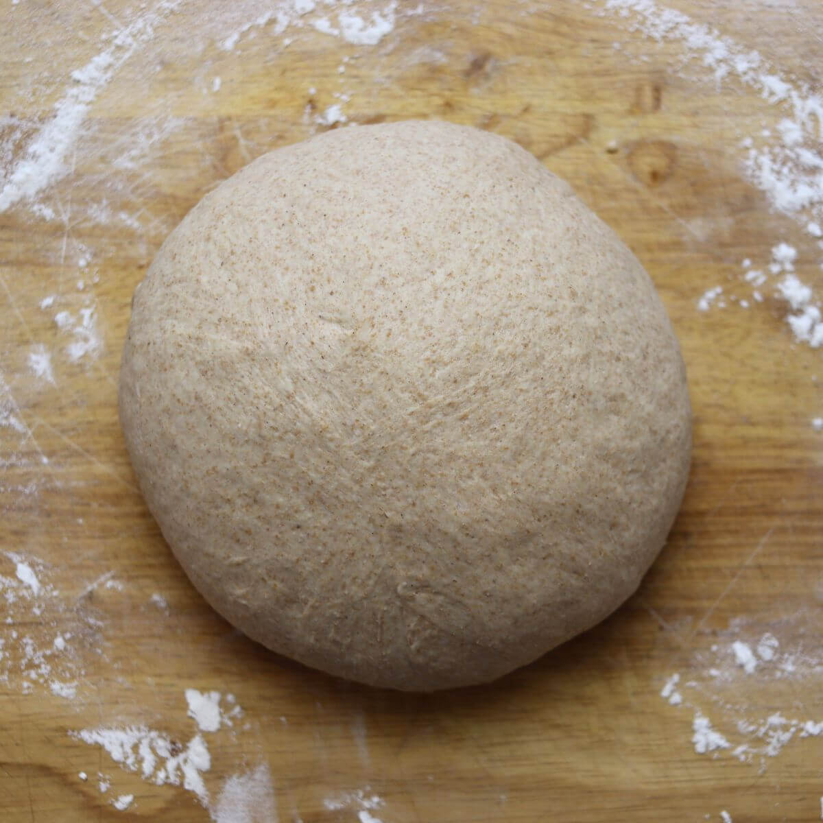 Round whole wheat bread dough shaped on lightly floured wooden surface.