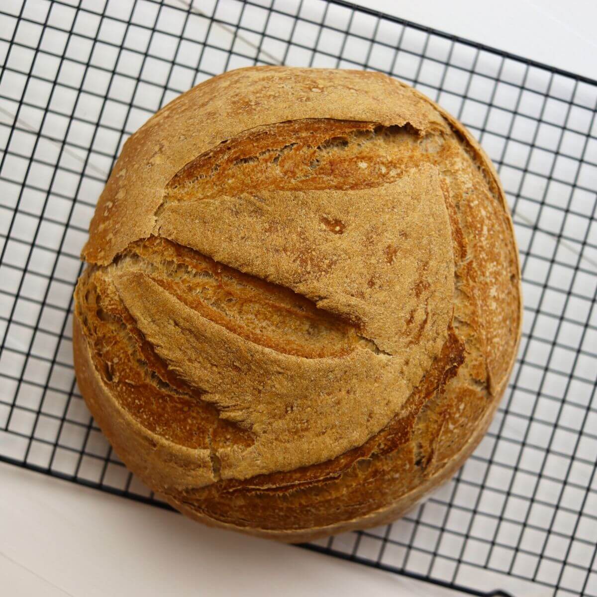 Whole wheat bread loaf with split crust cooling on wire rack.