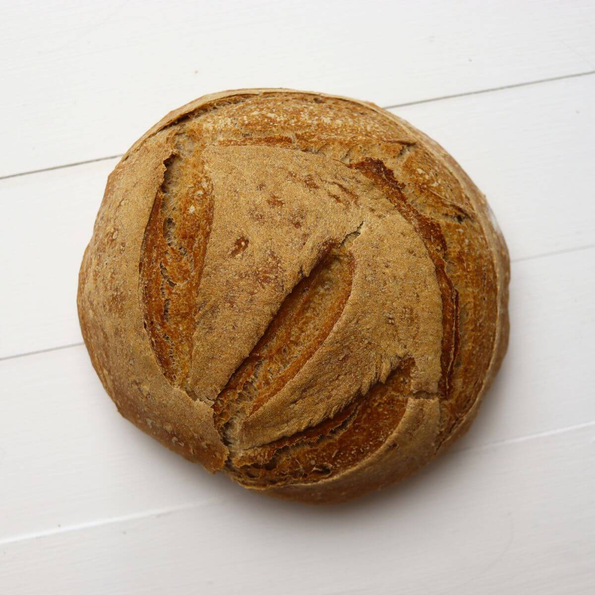 Round whole wheat bread loaf showing split crust and scoring on white surface.