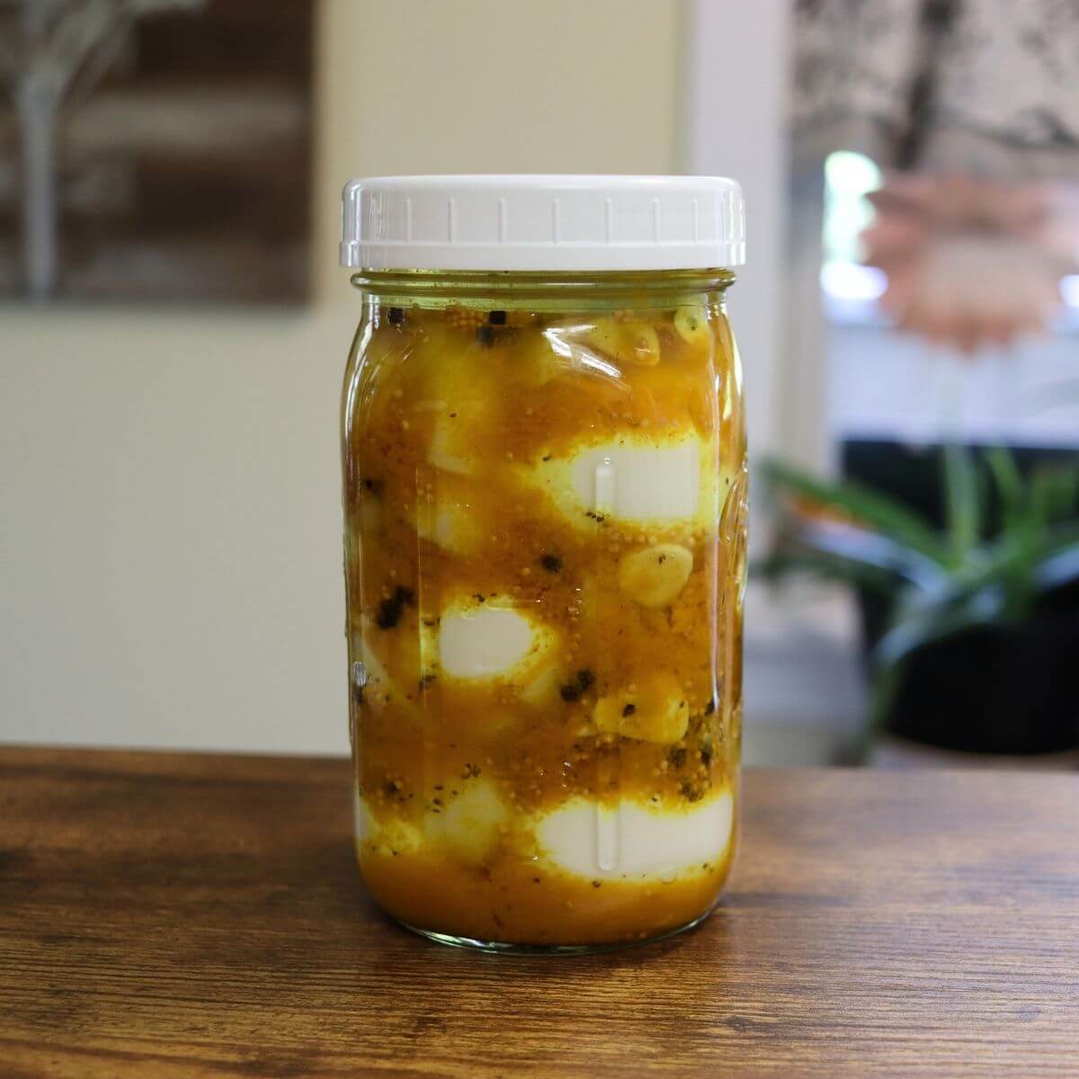 Yellow mustard pickled eggs in a mason jar with onions and spices.