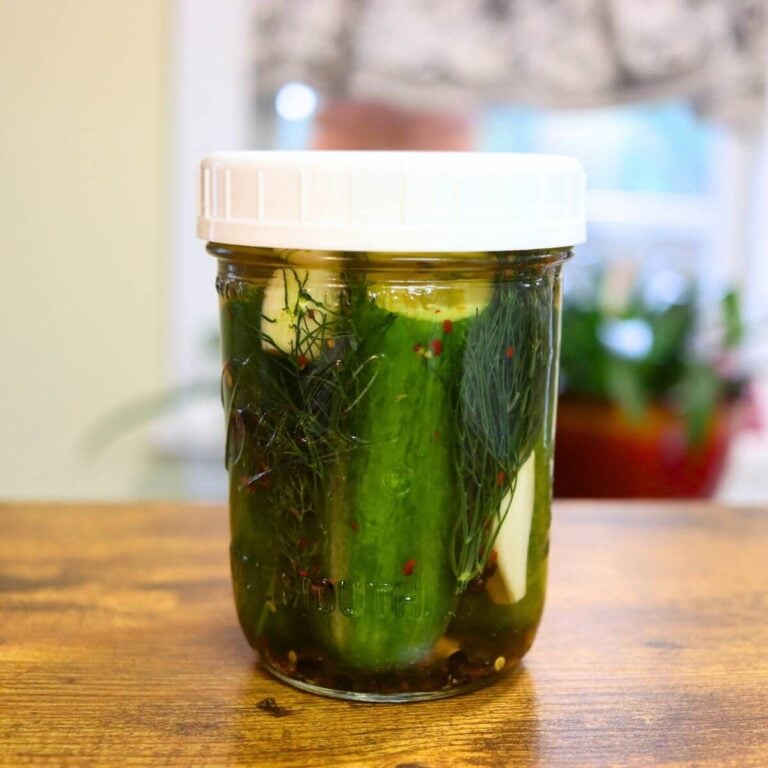 Whole garlic dill pickles packed in brine with fresh dill and spices.