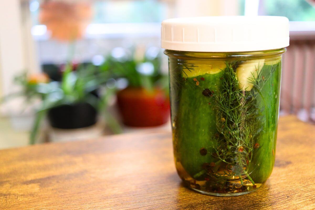Jar of homemade garlic pickles with fresh dill, garlic cloves, and pickling spices.
