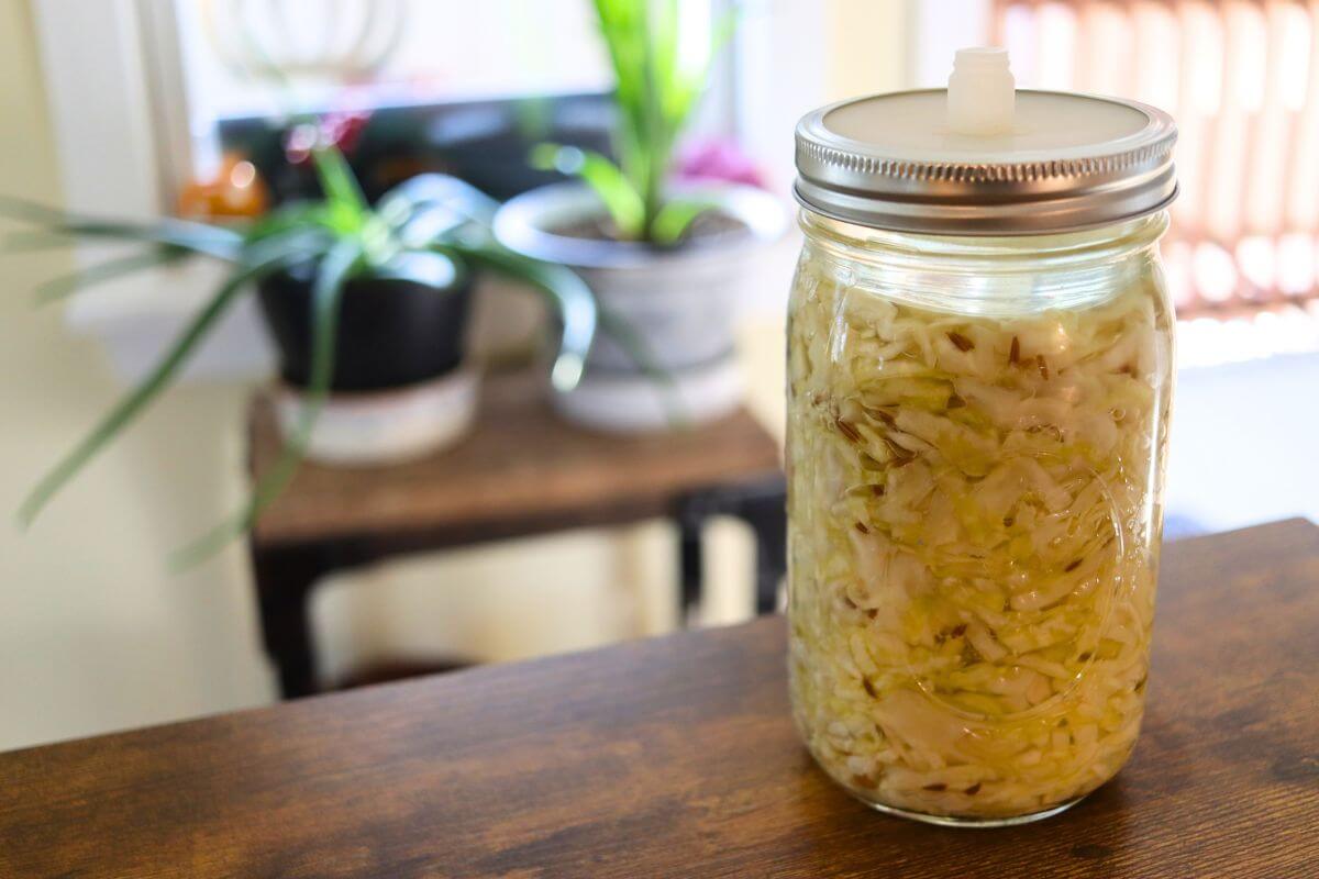 Glass mason jar filled with fermented wine sauerkraut and visible caraway seeds, topped with a metal fermentation lid and airlock.